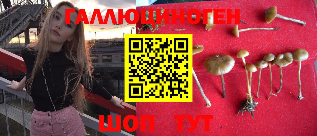 Куйбышев  продажа наркотиков  Вход с VPN  Галлюциногенные грибы GOLDEN TEACHER 